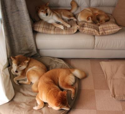 开云官网-“德甲战火再升，豪门球队稳步推进”，德甲土豪球队