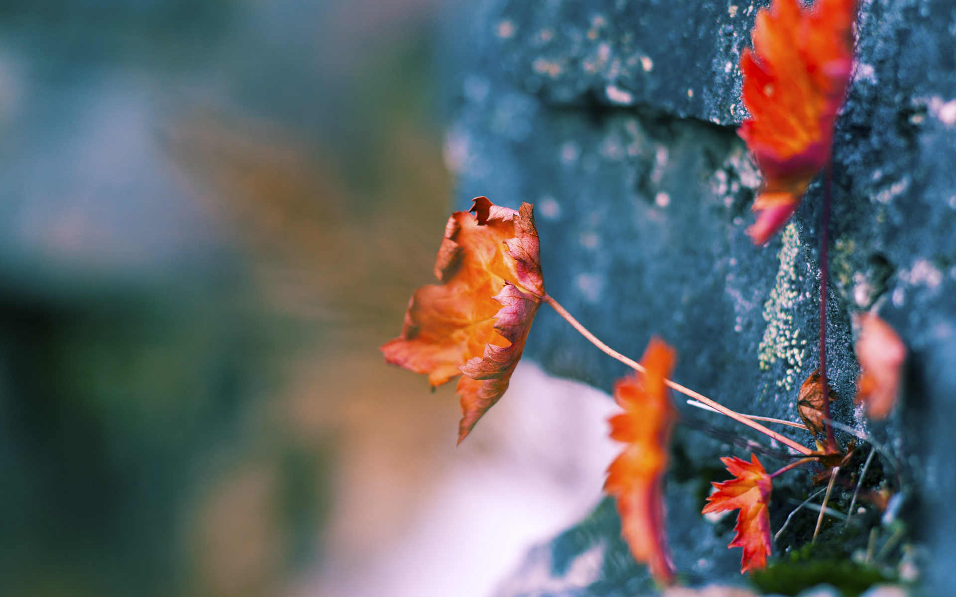 kaiyun网站-“逆境中的勇士，用汗水和拼搏追梦赛季最精彩一战”，逆境挑战