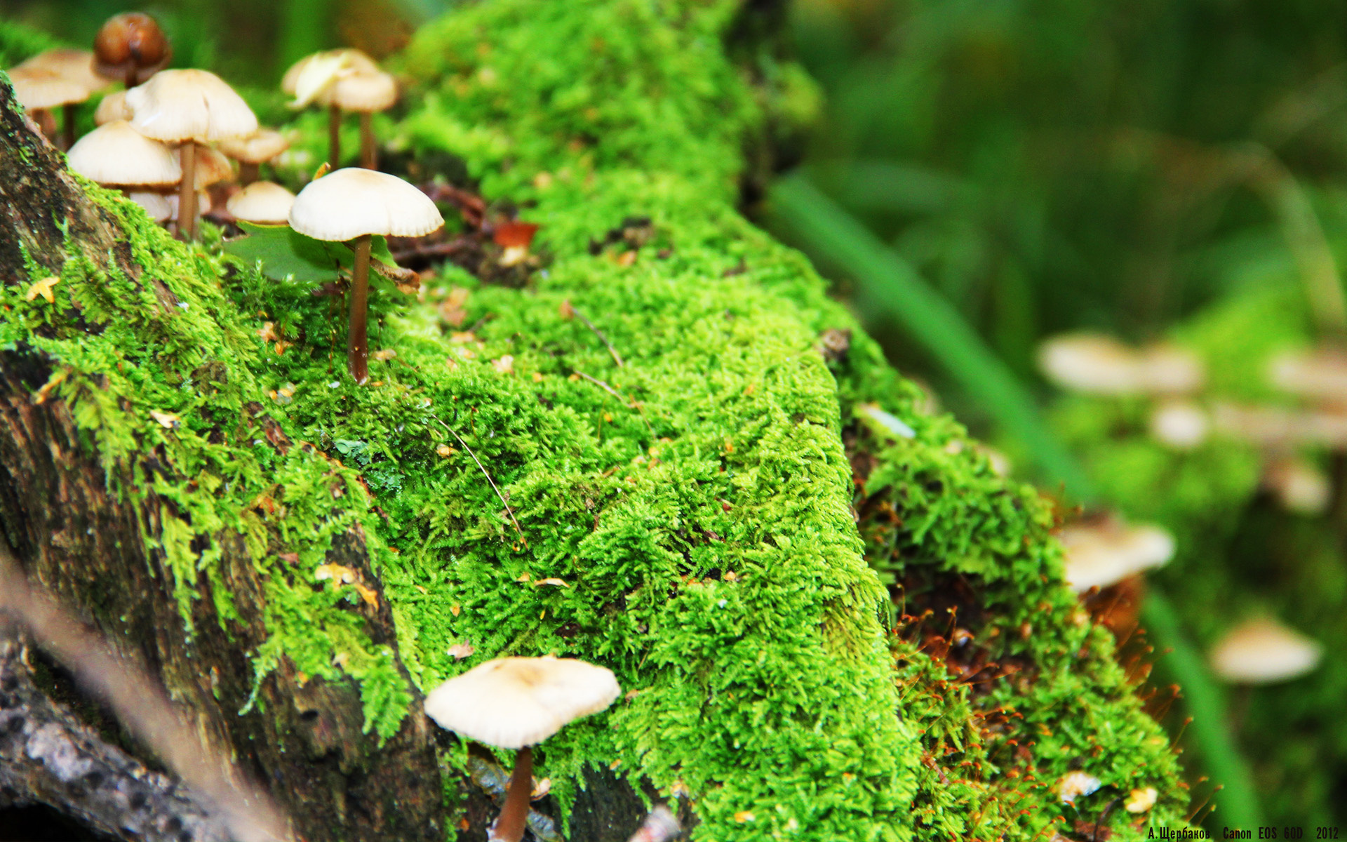 开云体育-史上最“炸裂”的灌篮比赛，哪一场让你激情爆棚？，灌篮集锦